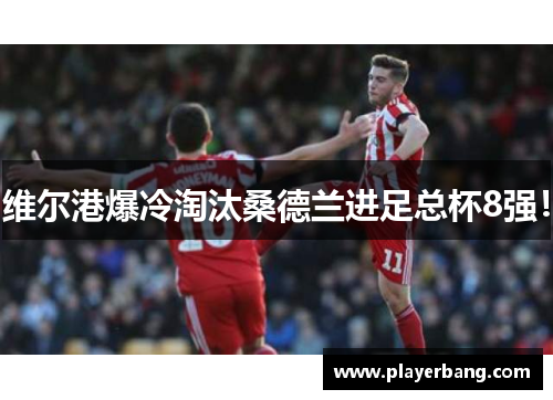 维尔港爆冷淘汰桑德兰进足总杯8强！